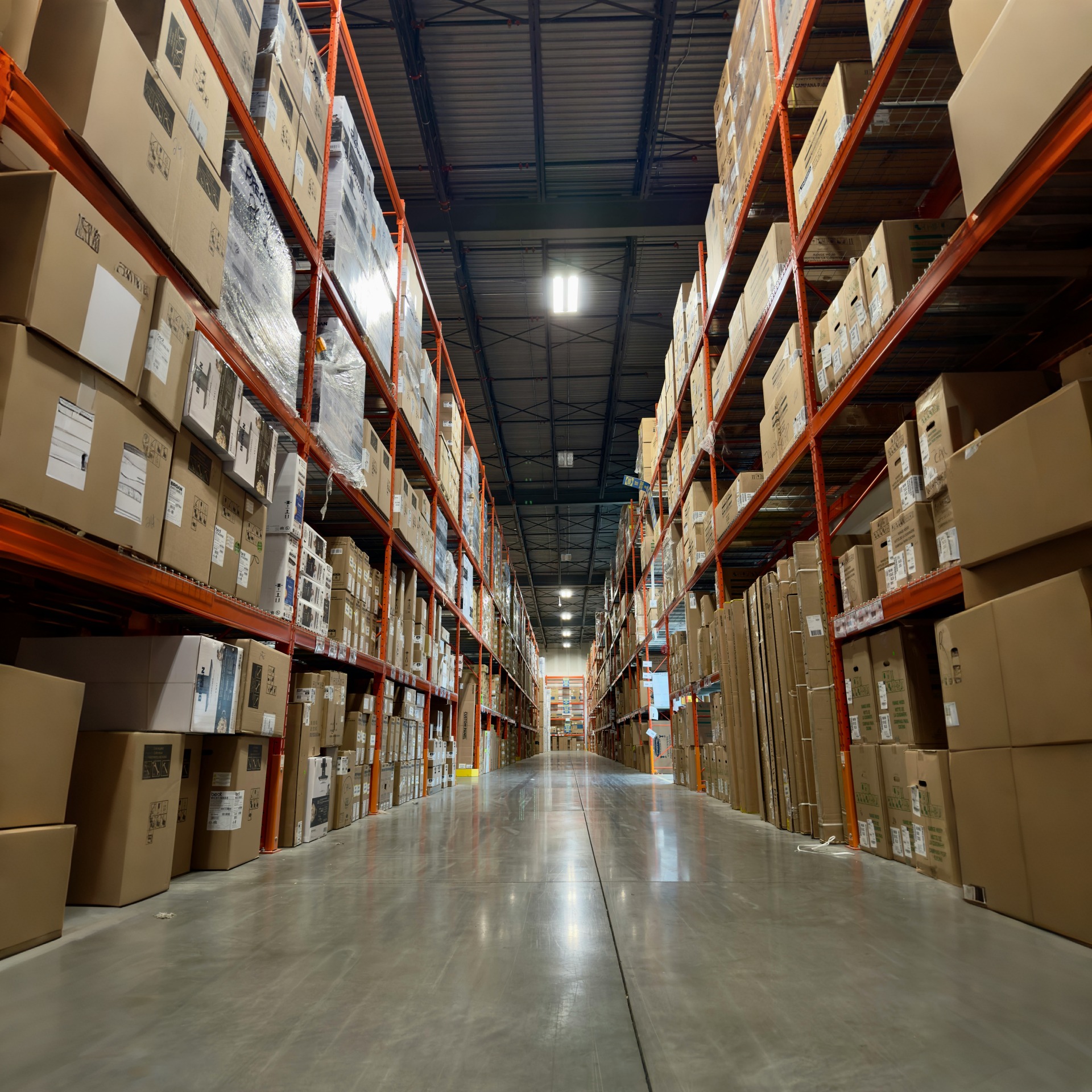 image_Pippit_202603041206