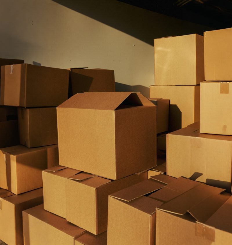 image_Pippit_202603041208 (1) image_Pippit_202603041208 (1)